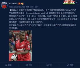 中国国安最新爆料,深度剖析国家安全领域重大事件”